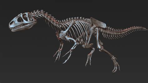 Allosaurus Skeleton Model - TurboSquid 1228773