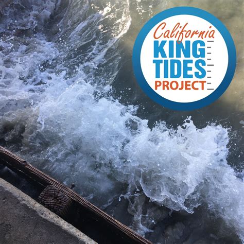 California King Tides Project – Friends of Rose Creek