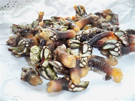 Percebes on a plate in a restaurant | Food, Favorite recipes, Foods to eat