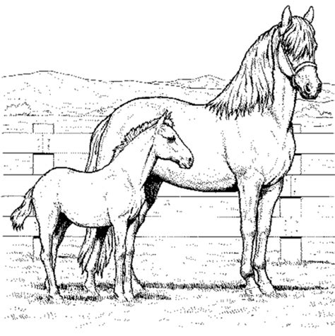 Free Printable Horse Coloring Pages For Kids