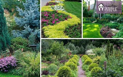 Perennial Garden Ideas Magazine | Fasci Garden