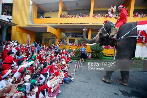 An elephant and mahout dressed in a Santa Claus costume distribute... News Photo - Getty Images