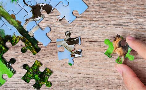 This Hilarious Pooping Dogs Puzzle Features 101 Different Pooches Dropping a Load