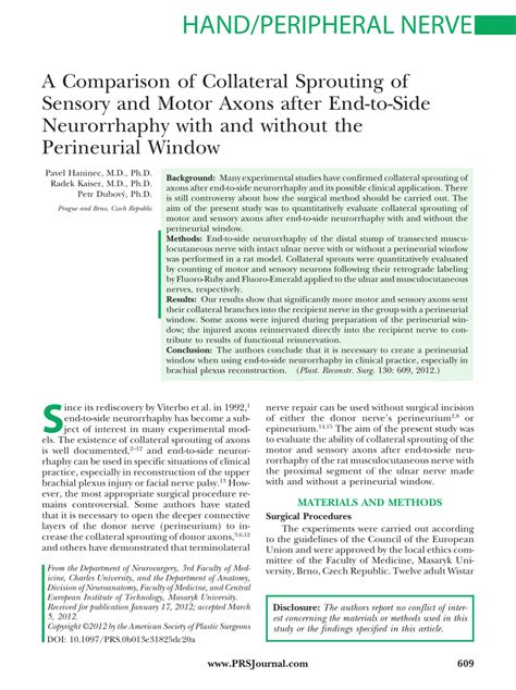 (PDF) A Comparison of Collateral Sprouting of Sensory and Motor Axons ...