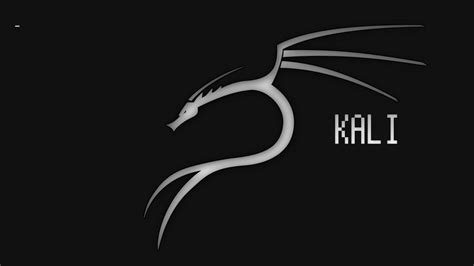 [100+] Kali Linux Wallpapers | Wallpapers.com