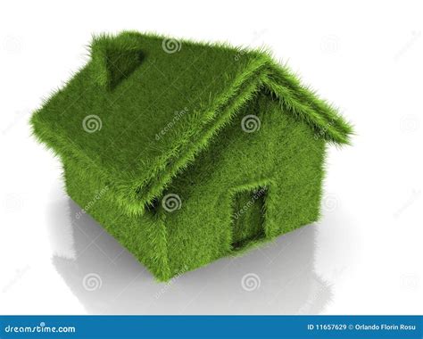 Grass house stock illustration. Illustration of house - 11657629