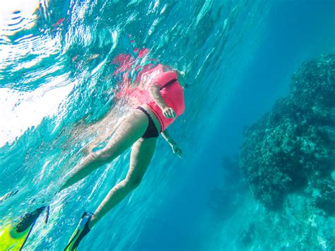 Where to Go Snorkeling in Belize: Hol Chan, Shark Ray Alley, and Mexico ...