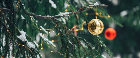 Christmas Balls on Tree Outdoor Stock Image - Image of december, garland: 164872657