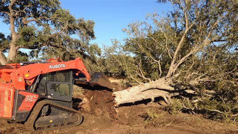 Land Clearing Services Austin Texas - Cedar Killers