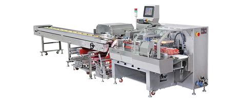 Automatic Packaging Machine | Automatic Packaging System - Ruipuhua