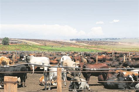 The story of Karan Beef | City Press