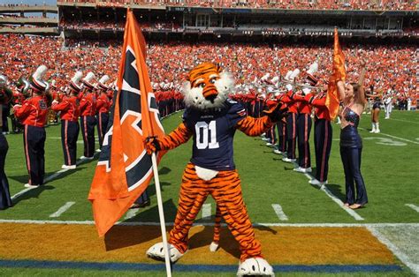 Aubie the Tiger | Auburn tigers football, Auburn university, Auburn tigers