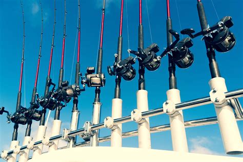 Top 5 Best Surf Fishing Rods | Fishing Looker