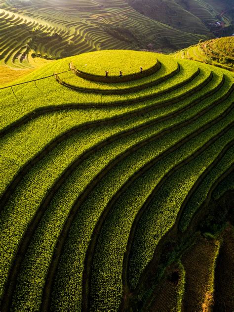 Mu Cang Chai rice terraces | Smithsonian Photo Contest | Smithsonian Magazine