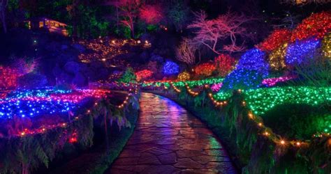 Magic and Wonder at The Butchart Gardens Christmas | Kenmore Air