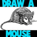 How to Draw a Mouse with Step by Step Mice Drawing Tutorial – How to Draw Step by Step Drawing ...