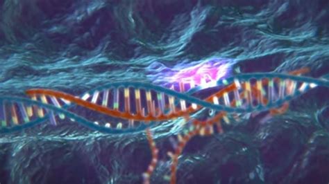 New gene-editing 'pencils' rewrite DNA to erase disease - CNET