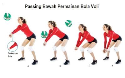 Cara Melakukan Passing Bawah Dalam Permainan Bola Voli - Ilmusiana