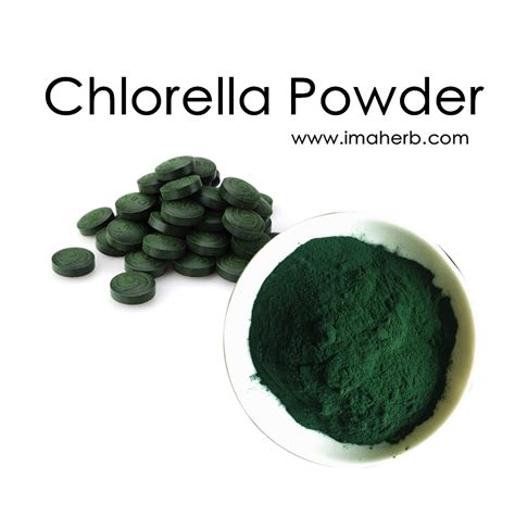 Chlorella Powder, Organic Chlorella Vulgaris Powder, Protein Chlorella Pyrenoidosa Powder ...