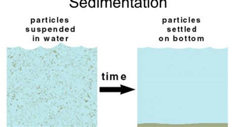 SEDIMENTATION - Definition, Principle, Process and Examples - CBSE ...