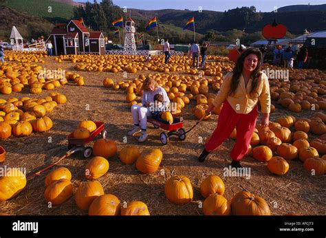 Pumpkin Festival, Half Moon Bay, California USA Stock Photo - Alamy