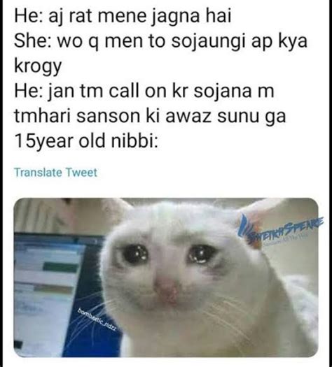 Nibba Nibbi Meaning In Hindi | निब्बा निब्ब्बी क्या होता है?