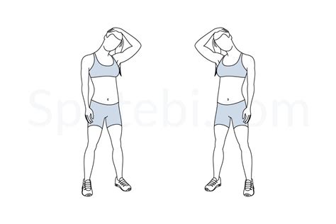 Neck Stretch | Illustrated Exercise Guide