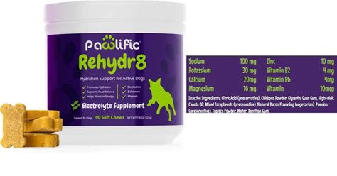 Electrolytes For Dogs: Natural Hydration Sources and Supplements