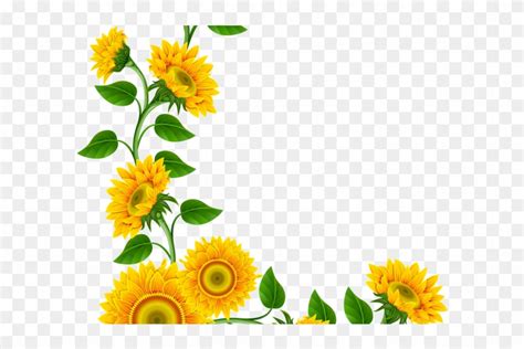 Sunflowers Clipart Marigold - Sunflower Corner Border Png, Transparent Png - 640x480(#6672387 ...