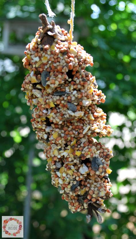 Simple Pine Cone Bird Feeder | Skip To My Lou