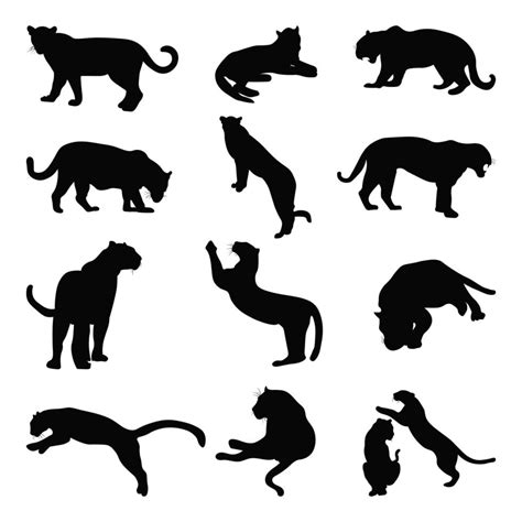 Set of wild jaguar silhouette vector illustration 19019197 Vector Art at Vecteezy