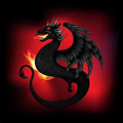 Fire Dragon Digital Art by Serena King - Fine Art America