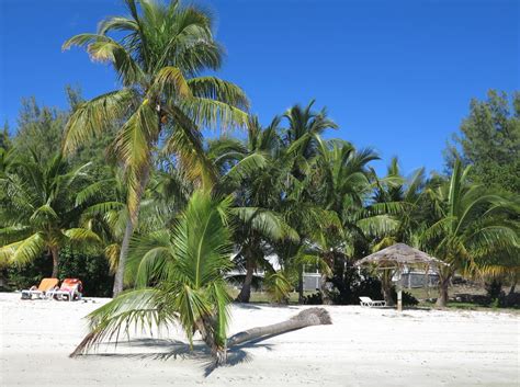 Bluff House Beach, Green Turtle Cay, Bahamas | Bahamas, Bahamas vacation, Abaco bahamas