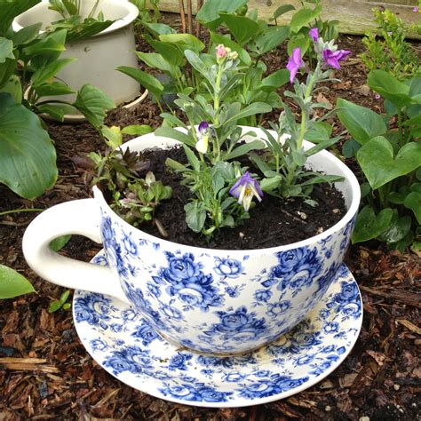 DAANIS: Teacup Plant Pot