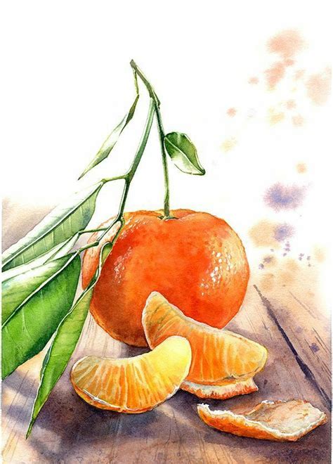 ..great picture... | Watercolor fruit, Watercolor food illustration, Watercolor food