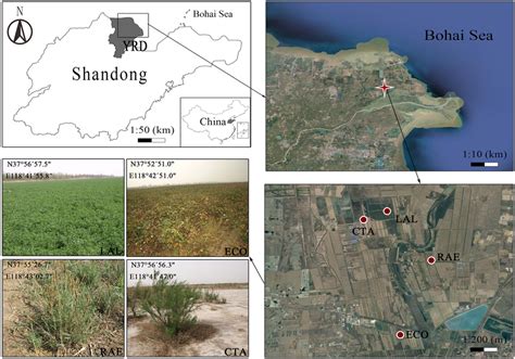 Location of the study area in the Yellow River Delta (YRD) of the... | Download Scientific Diagram