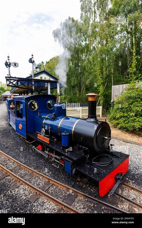 England, Hampshire, New Forest, Exbury, Exbury Gardens, The Steam Railway *** Local Caption ...