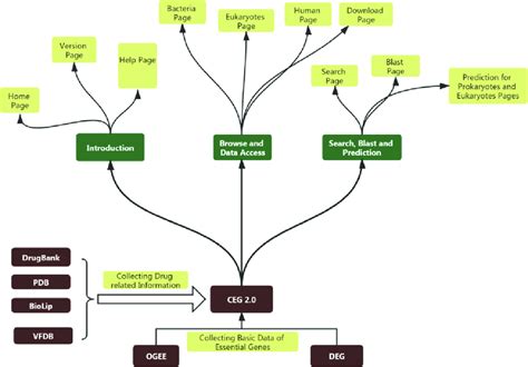 The basic scheme for constructing CEG 2.0 and the structure of CEG 2.0 ...