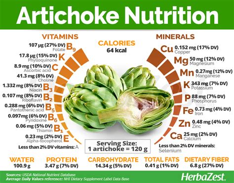 Nutritional Benefits Of Artichoke Hearts - Nutrition Pics