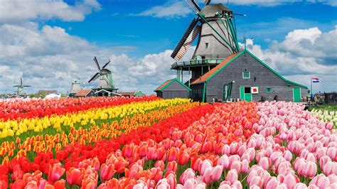 Netherlands - Amsterdam - AL MUTAWA TRAVEL & TOURISM