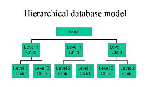 Hierarchical vs Relational Database: How Each Model Helps in Data ...