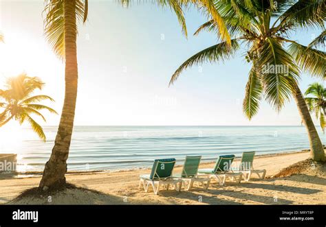 Tropical beach vacation scene with palmtrees and deckchairs in the sand ...