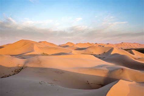 Top 20 Interesting Facts About the Gobi Desert Mongolia