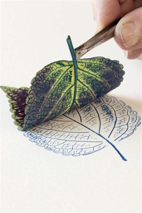 Printing with Leaves and Other Natural Objects - Storey Publishing | Leaf print art, Nature ...