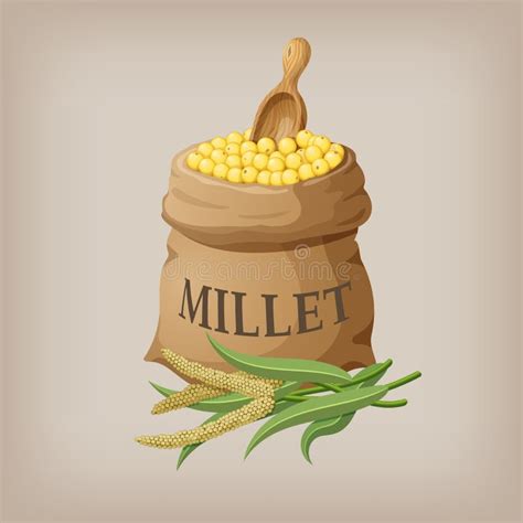 Millets Stock Illustrations – 56 Millets Stock Illustrations, Vectors ...