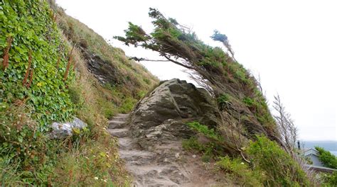 Whitsand Bay Beach in Torpoint | Expedia.co.uk