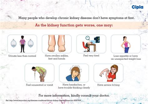 Chronic Kidney Disease: Factors, Symptoms, Causes - Liv Healthy Life