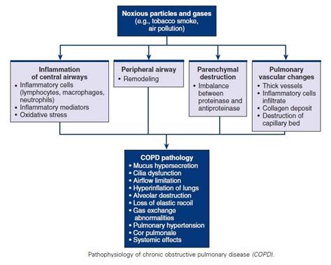 Chronic Obstructive Pulmonary Disease Nursing Management