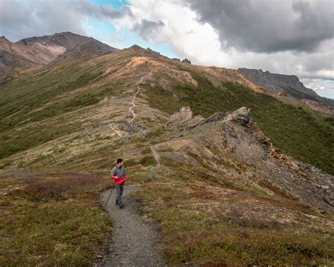 Denali National Park: Ultimate Guide to Hiking, Camping, and Wildlife ...