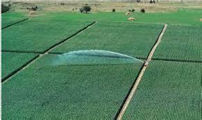 Types / Methods and Challenges of Irrigation Farming - Agric4Profits